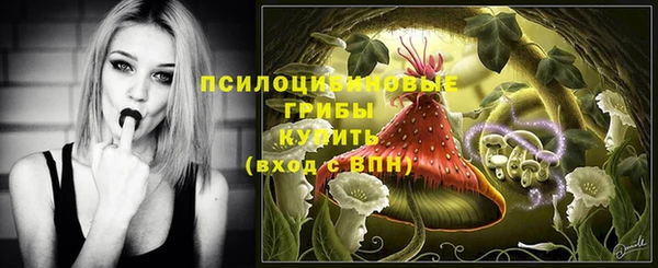 a pvp Горнозаводск