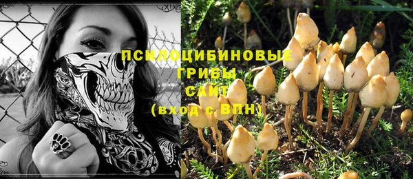 a pvp Горнозаводск